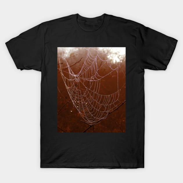 Arachnid branches close up cobweb T-Shirt by mydesignontrack